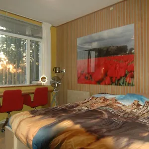 https://bed-and-breakfast-tulip-gallery.amsterdamhotelsnl.com